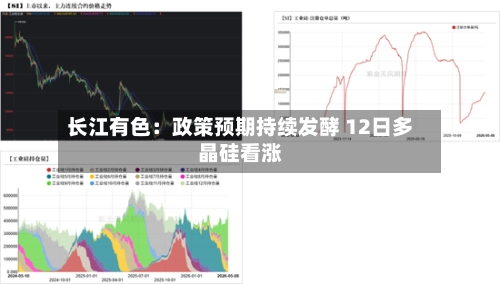 长江有色：政策预期持续发酵 12日多晶硅看涨