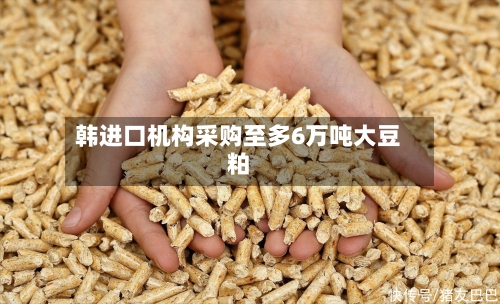 韩进口机构采购至多6万吨大豆粕-第3张图片