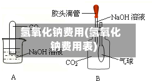 氢氧化钠费用(氢氧化钠费用表)