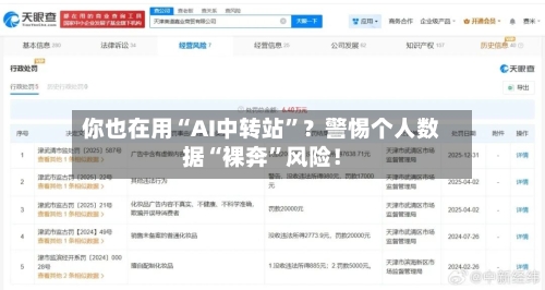 你也在用“AI中转站	”？警惕个人数据“裸奔”风险！-第3张图片