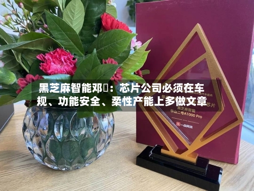 黑芝麻智能邓堃：芯片公司必须在车规、功能安全	、柔性产能上多做文章-第2张图片
