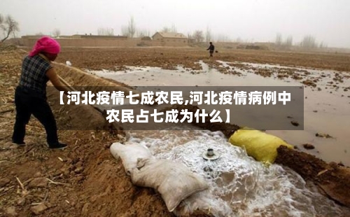 【河北疫情七成农民,河北疫情病例中农民占七成为什么】-第2张图片