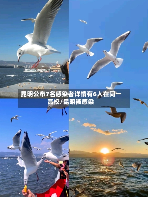 昆明公布7名感染者详情有6人在同一高校/昆明被感染