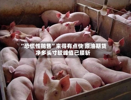 “恐慌性抛售	”来得有点快 原油期货净多头寸较峰值已腰斩-第2张图片